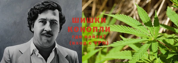 PSILOCYBIN Костерёво