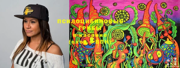 PSILOCYBIN Костерёво