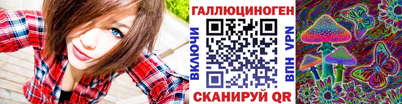 хочу   Лосино-Петровский  Псилоцибиновые грибы GOLDEN TEACHER 